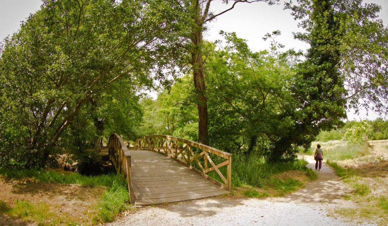 Casa Portolago Carballo Dış mekan fotoğraf